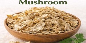 Dry Oyester Mushroom