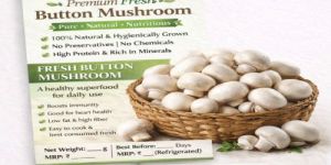 Premium Fresh Button Mushroom