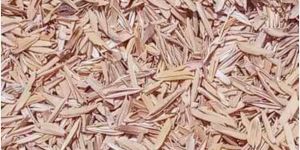 Rice Paddy Husk