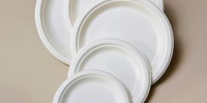 Sugarcane Bagasse Round Plate