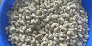 w320 Kaju Cashew Nut