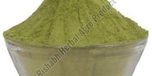 Giloy Leaves Powder