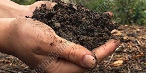 Organic Fertilizer
