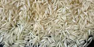 White 1509 Sella Basmati Rice
