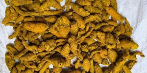 Erode Turmeric Finger