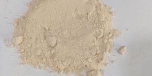 White Onion Powder