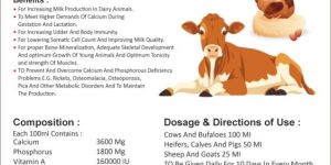 Liquid Calcium Phosphorus Magnesium Zinc Vitamin d3 Syrup