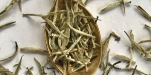 Silver Needle White Tea Leaf