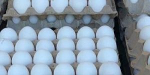 White Eggs