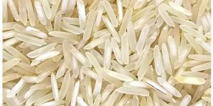 1637 Pusa Basmati Rice