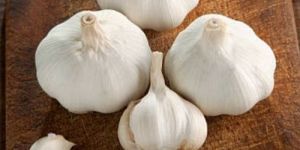 Fresh Garlic