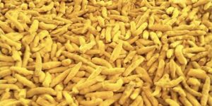 Organic Turmeric Powder