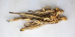 Dried Bombay Duck Fish