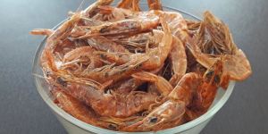 Premium Quality Dried Shrimps