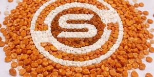 Orange Marble Pebble