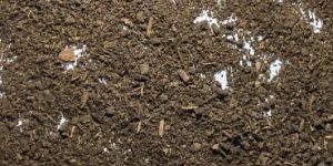 Powder Organic Fertilizer