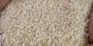BPT Rice