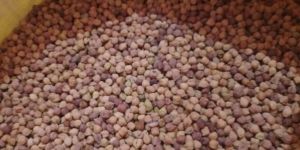 Brown Chickpeas