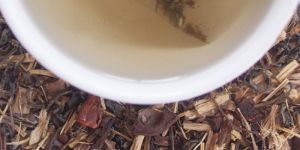 Fennel Star Anise Green Tea