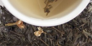 Jasmine Green Tea