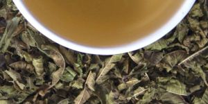 Lemon Verbena Tea