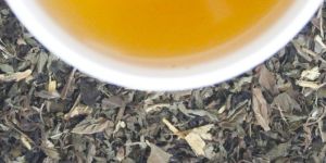 Spearmint Green Tea