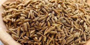 Brown Cumin Seeds