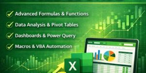 Advance Excel Course in Delhi