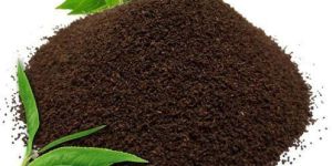 Raw Tea Powder
