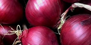 Organic Fresh Red Onion
