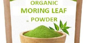 moringa oleifera superfood powder