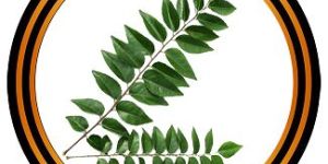 Curry Leaves