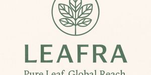 Moringa Leaves Powder