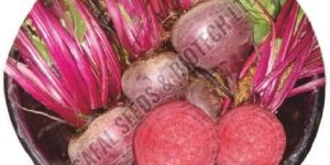 Gullabo Beetroot Seeds