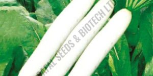 Palak Patta Mulli Radish Seeds