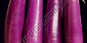 Purple Long Brinjal Seeds