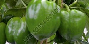 Safal Wonder Capsicum Seeds