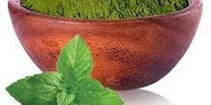 Dehydrated Pudina Leaves Powder