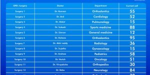 Electronic Queue Management System