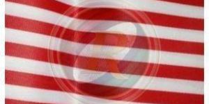 Satin Striped Fabric