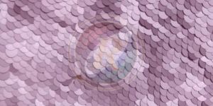 Sequence Embroidered Fabric