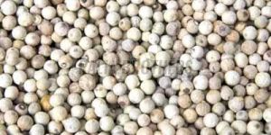 White Pepper
