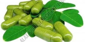 Moringa Capsules