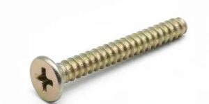CSK Phillips Screw