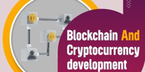 Custom Software Development