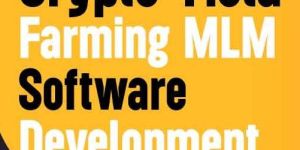 IT Consulting Services