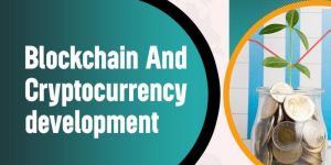 Website Design Company