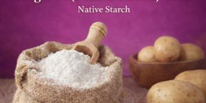 Angel PS (Potato Starch) 13M