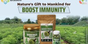 Organic Moringa Powder