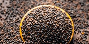 Black Mustard Seeds